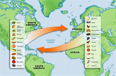 The Columbian Exchange; A Biological and Cultural Crossroads of Two Hemispheres