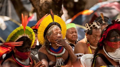 The Great Guaraní Uprising A 7th Century Turning Point for Indigenous Resistance and Amazonian Power Dynamics